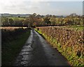 Road to Chibley Farm