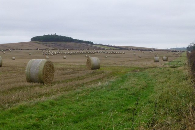 Uncollected cylindrical bales near Hagg