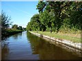 SJ5446 : The Llangollen Canal between bridges 24 and 25 by Christine Johnstone
