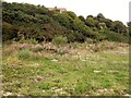 Brownfield site at Lovat Mead