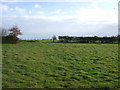 Grazing, Wolvey Heath