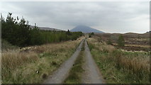 G0501 : Track leading towards Derryroe Bridge with Nephin in background by Colin Park