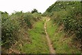 Footpath to Treveague