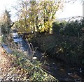 The Moygannon River from the lower end of Moygannon Road