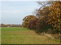 Hainault Recreation Ground