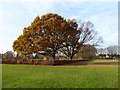 Hainault Recreation Ground