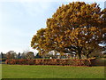 Hainault Recreation Ground