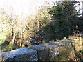 The Moygannon River above the Clonallon Road bridge