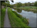 Towpath along the Stourbridge Canal, Brierley Hill