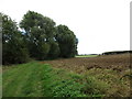 Footpath and field edge near Greetham