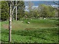 Lambs, Orridge Street