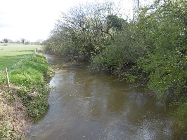 River Leadon © Richard Webb :: Geograph Britain and Ireland