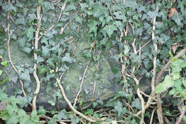 Helsby, Lower Rake Lane bridge