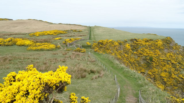 On Causeway Coast Path - Close to... © Colin Park :: Geograph Ireland