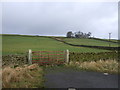 Field entrance near Summerscales Farm