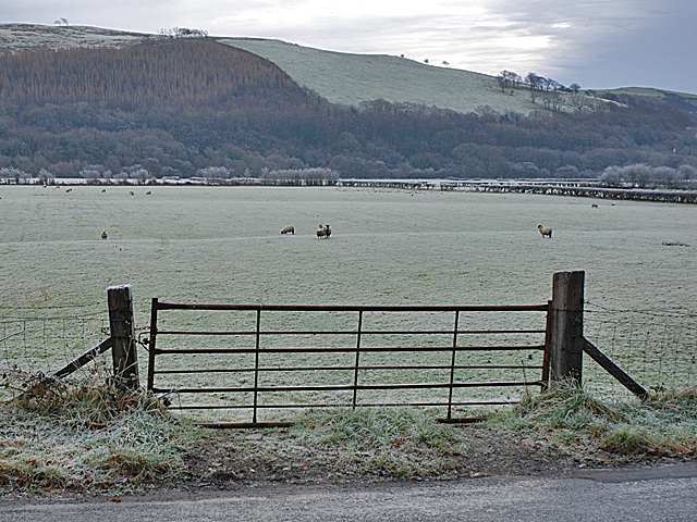 Gate into field