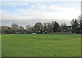 Thriplow Cricket Ground in winter