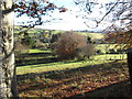 Woodland between the Clonallon Road and the Moygannon River