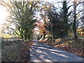 Autumn colour on the Clonallon Road