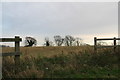 Stow Green Hill from Mareham Lane