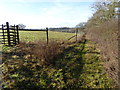 Footpath between field and woodland