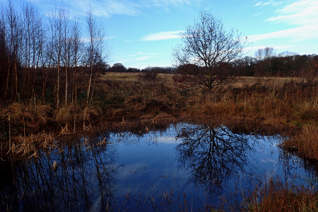 Pond, Arkley Heads
