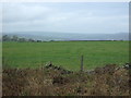 Grazing north of Menwith Hill Road