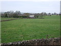 Grazing towards Gill Thorn Farm