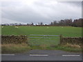 Field entrance off Skipton Road (A59)