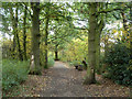 Path from Downderry Road to Moorside Road