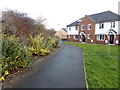 Footpath & Cycleway to Sycamore Way