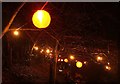 SX9150 : Lanterns, Coleton Aglow by Derek Harper