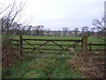 Field entrance off Brackenthwaite Lane