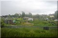 Allotments, Royston