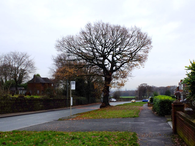 Bus stop on A571 Pemberton Road