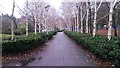 Path in Elthorne Park