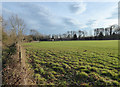 SU2090 : Sevenhampton cricket ground, Bellingham Lane by Vieve Forward