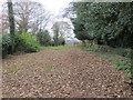 Footpath leaving Malpas