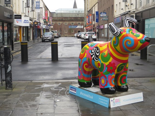 Great  North Snowdog Psychedelic Snowdog, Ridley Place, Newcastle upon Tyne