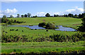 Pasture and pools north-west of Audlem, Cheshire