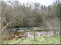 River Ayr