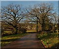 Entrance drive, Churchwalls