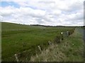 NS5424 : Ayrshire pasture by Richard Webb