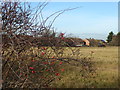 The western edge of Hornchurch Country Park