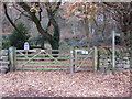 Footpath into National Trust woodland