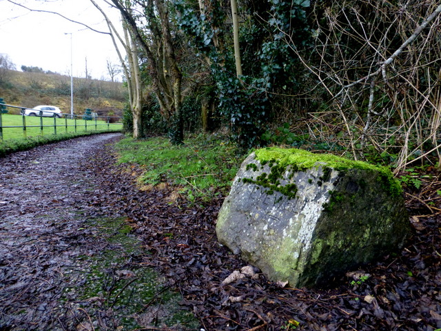 Moss covered stone, Dromore