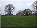 Grazing, Bunbury Heath