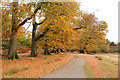 Knole Park