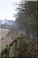 Footpath north of Latchingdon churchyard