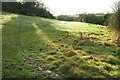 Field by the Avon